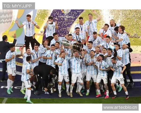 美洲杯历史沿革与参赛球队表现分析